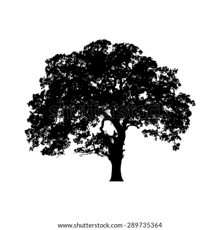 Beautiful vector tree silhouette outline vector icon for nature apps and websites