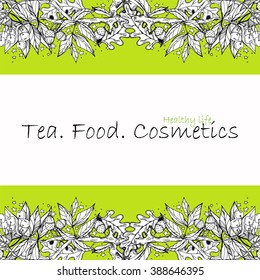 Beautiful vector vintage background. Package for natural, ecology, organic  products: tea, food, cosmetics. Flower, branch, leaves, berry, herbal hand-drawn frame elements. Black, white, green colors