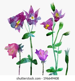 Beautiful vector watercolor floral card  painted by hand. Violet flower. Vector illustration. 
