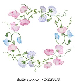 Beautiful vector watercolor wreath with sweet peas. Template for weeding invitation, save the date cards or vintage backgrounds.