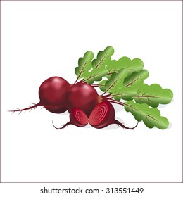 Beautiful vegetables. Red bright beet. Vector illustration.