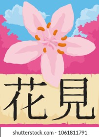 Beautiful view of a cherry flower over ancient scroll and a far view of bloomed pink cherry trees for Hanami ("flower viewing" written in Japanese) celebration.
