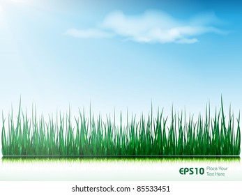 beautiful view of green grass and blue sky with sun and clouds. Eps10