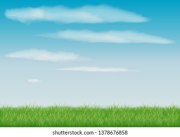 beautiful view green summer meadow stretches to the horizon. a field of grass. blue light sky with white clouds. realistic vector drawing