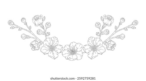 Beautiful vignette of apricot blossom branch in a graceful thin line. Japanese sakura flowers frame outline. Hand drawn sketch of cherry, plum, or peach blossom branch. Vector illustration