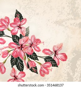 Beautiful vintage background with pink hibiscus flowers in grunge style