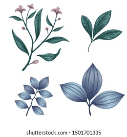 Beautiful vintage hand drawn floral vector collection