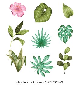 Beautiful vintage hand drawn floral vector collection