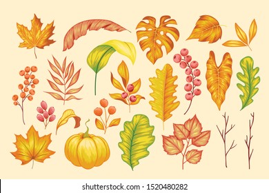 Beautiful vintage hand drawn floral vector collection