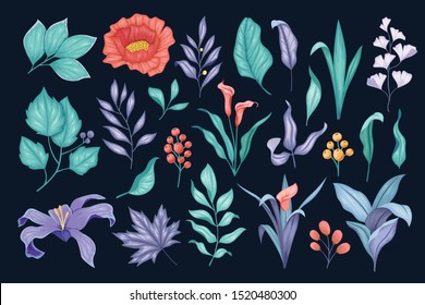 Beautiful vintage hand drawn floral vector collection