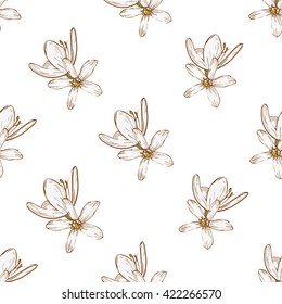 Beautiful vintage hand drawn pear flowers seamless pattern. Cute artistic decoration for bakery menu background, market, shop, cafe design in watercolor style on white background