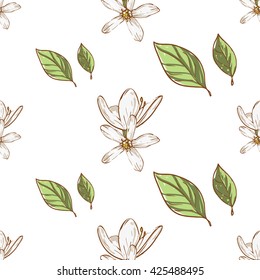 Beautiful vintage hand drawn pear flowers and leaf seamless pattern. Cute artistic decoration for bakery menu background, market, shop, cafe design in watercolor style on white background