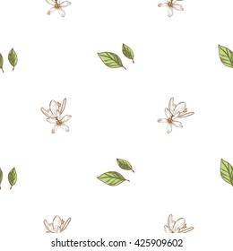 Beautiful vintage hand drawn pear flowers and leaf seamless pattern. Cute artistic decoration for bakery menu background, market, shop, cafe design in watercolor style on white background