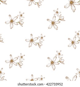 Beautiful vintage hand drawn white flowers seamless pattern. Cute artistic decoration for bakery menu background, market, shop, cafe design in watercolor style on white background