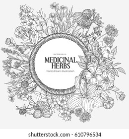 Beautiful vintage rope frame with medicinal herbs and flowers on white background, vector hand-drawn illustration, chamomile, lavender, clover, dandelion, st john's wort, dog rose and valeriana