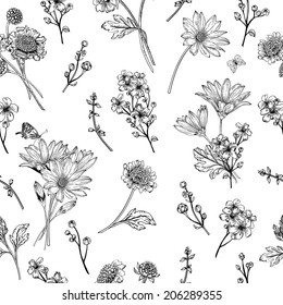 Beautiful vintage seamless pattern with blue flowers on a white background. Garden asters, chrysanthemums, daisies. Vector illustration. Black and white.