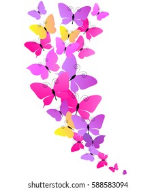 beautiful violet  butterflies, isolated  on a white
