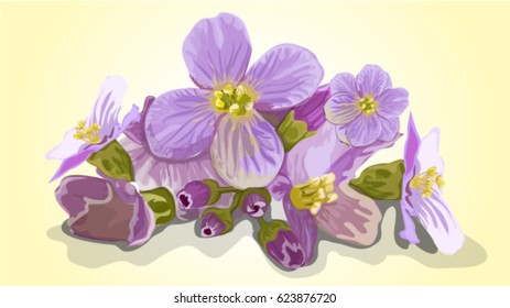 Beautiful violet flowers .Vector illustration