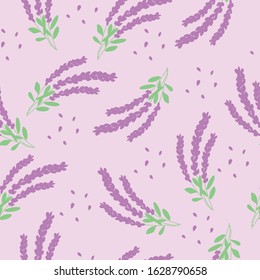 Beautiful violet lavender flowers retro background on white.