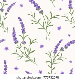 Beautiful violet lavender flowers retro background on white