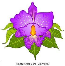 Beautiful violet orchid. Vector