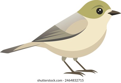 Una hermosa ilustración de Vector de pájaro de vireo