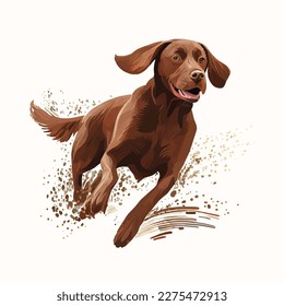 Beautiful Vizsla dog is running on white background. Isolated Vector Illustration art. 