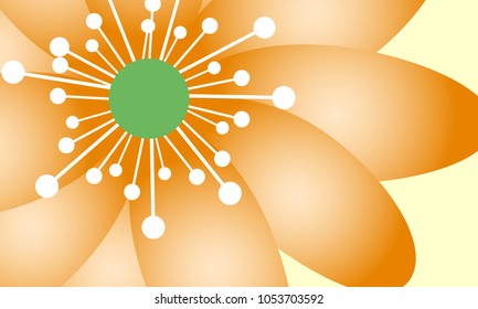 Beautiful Wallpaper with Spring Flowers. Vector Daisies on Orange Background or Snowdrops Isolated. Template with Spring Flowers in Minimal Style for Invitation, Postcard, Brochure, Wedding, Flyers.