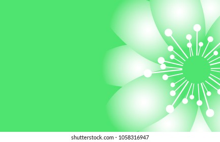 Beautiful Wallpaper with Spring Flowers. Vector Daisies on Green Background or Snowdrops Isolated. Template with Spring Flowers in Minimal Style for Invitation, Postcard, Brochure, Wedding, Flyers.