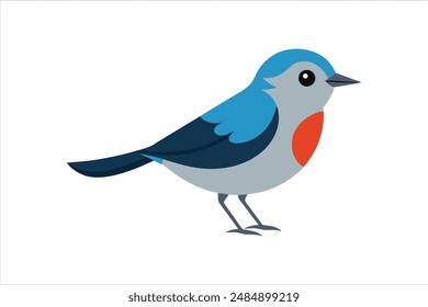 Hermosa ilustración de Vector de pájaro Warbler.