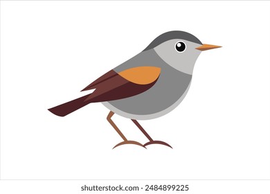 Beautiful Warbler bird vector artwork illustration.