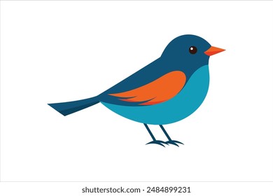 Beautiful Warbler bird vector artwork illustration.