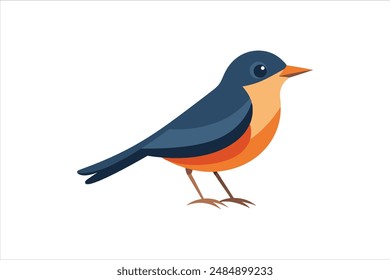 Beautiful Warbler bird vector artwork illustration.