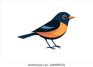 Beautiful Warbler bird vector artwork illustration.