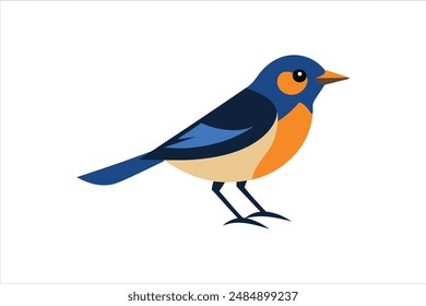 Beautiful Warbler bird vector artwork illustration.