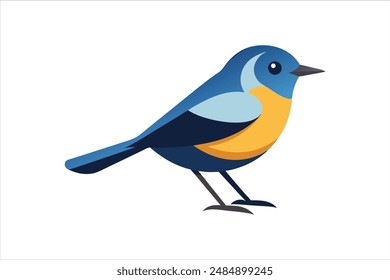 Hermosa ilustración de Vector de pájaro Warbler.