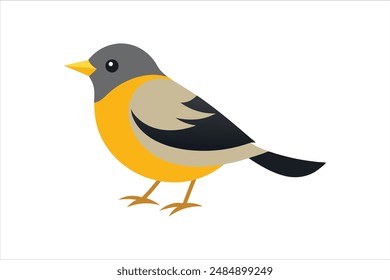 Beautiful Warbler bird vector artwork illustration.