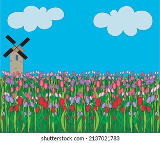 a beautiful warm and bright spring-summer landscape of a blooming field with tulips and a mill, like in Holland