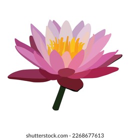 A beautiful water lily flower vector art work.