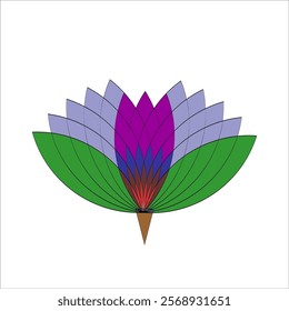 a beautiful  water lily illustration