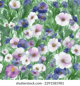 beautiful watercolor anemone flowers hand painted in vintage botanical art style vector illustration