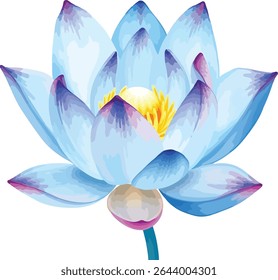 beautiful Watercolor blue lotus flower on vector illustration on white background
