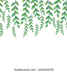 Beautiful watercolor branches pattern vector