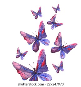 Beautiful watercolor butterfly on white background, vector illustration