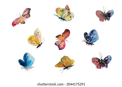 Beautiful watercolor butterflys flying, insect painted on white background. Artistic vector illustration set. Grunge simple botanical texture. Pink, yellow, blue colors nature