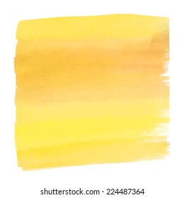 Beautiful watercolor design element / Vector illustration
