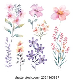 Hermosa acuarela Flores de hadas en fondo blanco - Colección de clipart