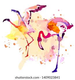 Beautiful watercolor flamingos, isolated on a white. Big set.