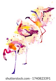 Beautiful watercolor flamingos, isolated on a white. Big set.