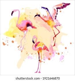 Beautiful watercolor flamingos, isolated on a white. Big set.